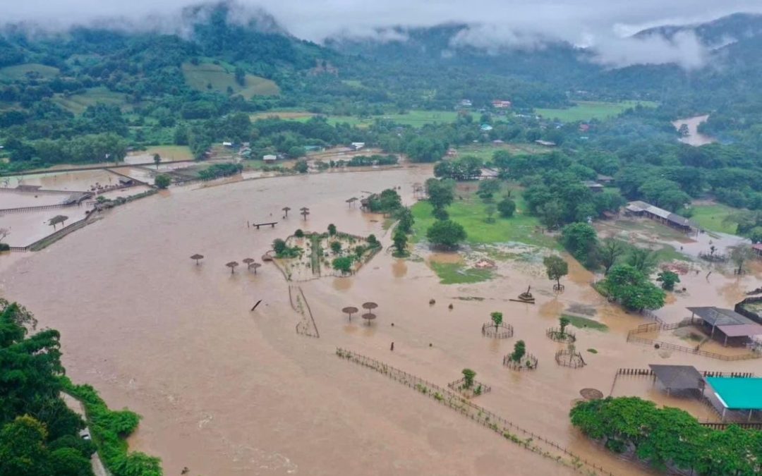 About 100 rescued elephants escape flash floods at popular sanctuary in northern Thailand, two killed in evacuation